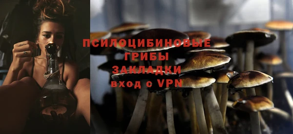 метадон Няндома