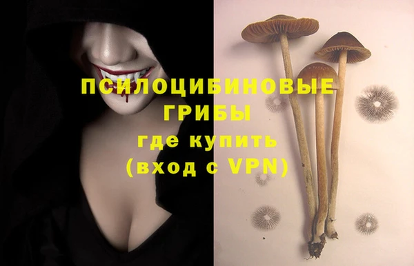 мефедрон мука Нязепетровск