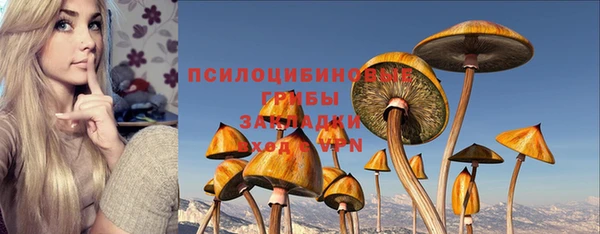 гидропоника Новодвинск
