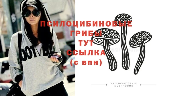 Альфа ПВП Новокубанск